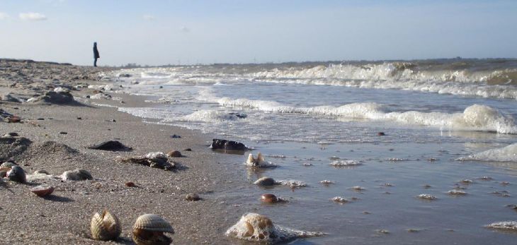 Schöne Aussicht auf die Nordsee